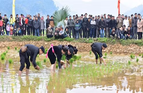 Kinh nghiệm sản xuất nông nghiệp qua tục ngữ người dân tộc Tày