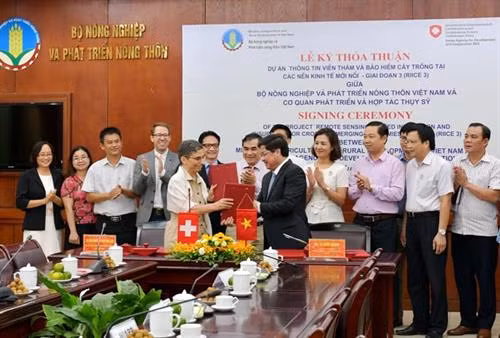 Thụy Sỹ hỗ trợ Việt Nam ứng dụng công nghệ viễn thám vào sản xuất lúa