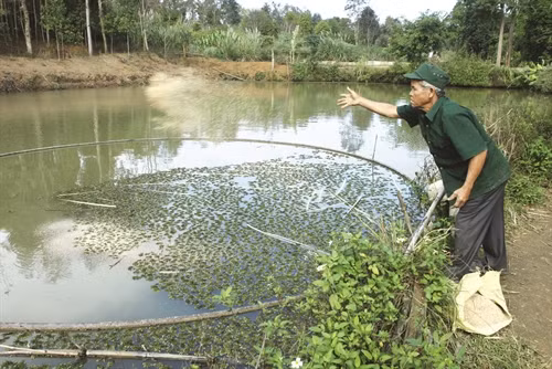 Già làng Hồ Lua làm kinh tế giỏi