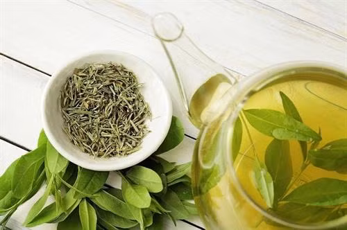 Tinh chất quý từ trà xanh hữu ích với bệnh nhân tiểu đường
