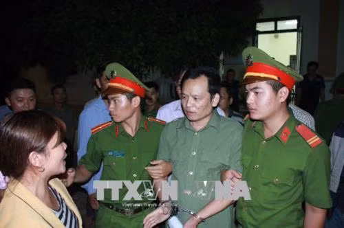 Xử lý nghiêm các đối tượng hủy hoại rừng
