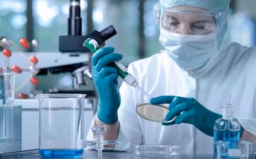 Điều trị ung thư bằng tế bào gốc mang lại hiệu quả cao