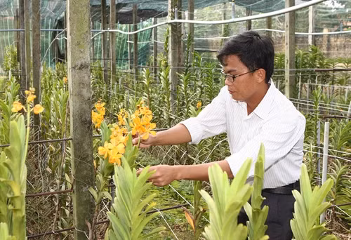 Nhiều mô hình ứng dụng công nghệ trong sản xuất nông nghiệp đạt năng suất cao