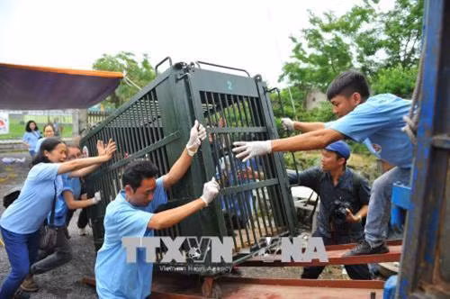 Giải cứu hơn 100 cá thể động vật hoang dã