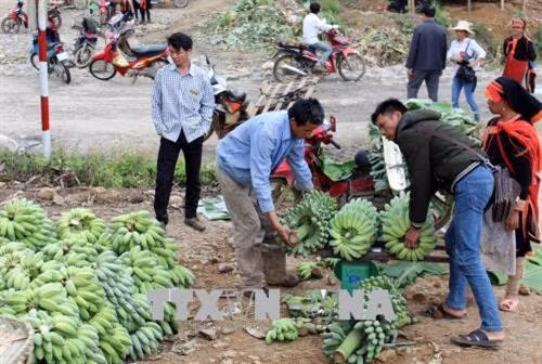 Hiệu quả từ mô hình kết nghĩa thôn bản biên giới Việt-Trung ở Lai Châu
