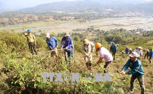 Công bố hiện trạng rừng toàn quốc năm 2017