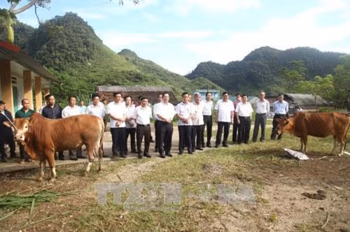 Đề nghị bố trí đủ ngân sách đầu tư cho hoạt động khoa học, công nghệ