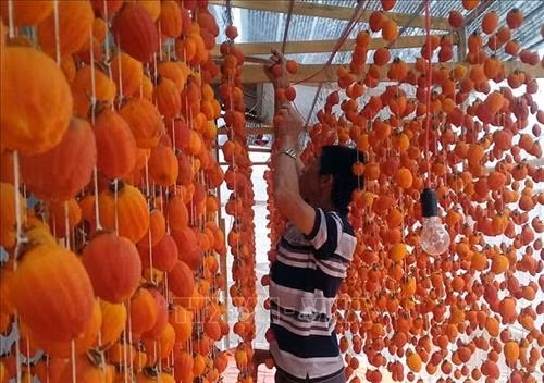 Lâm Đồng tập trung nguồn lực phát triển vùng đồng bào dân tộc thiểu số