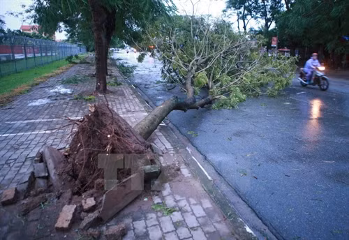 Bắc Biển Đông có gió giật cấp 7-8, Nam Bộ đề phòng tố lốc, dông sét và gió giật mạnh