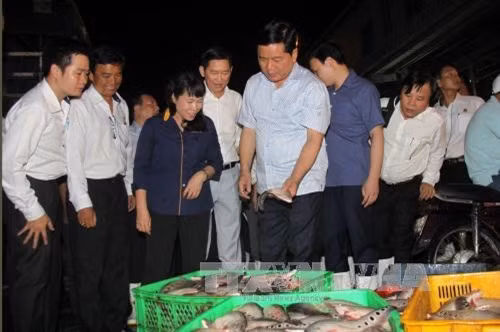 An toàn thực phẩm Tết và nỗ lực kiểm soát thực phẩm