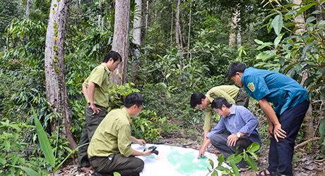 Huyện biên giới Ia H’Drai nỗ lực giữ rừng