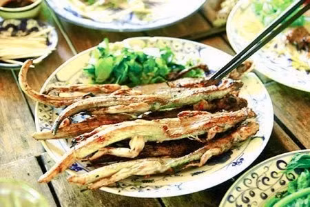 Thằn lằn núi - Đặc sản Tây Ninh