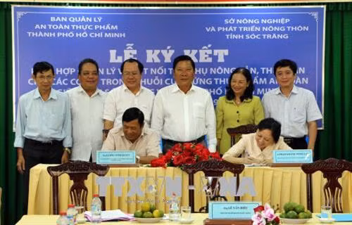Sóc Trăng và Thành phố Hồ Chí Minh ký kết tiêu thụ nông sản, thủy sản an toàn