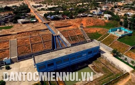 Cuộc chiến chống sa mạc hóa ở Bình Thuận