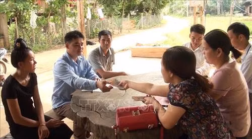 Các địa phương hỗ trợ hộ chăn nuôi bị dịch tả lợn châu Phi