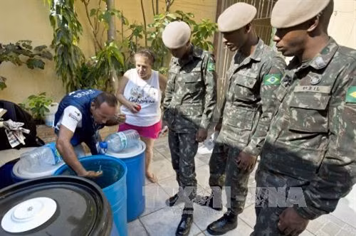 Brazil phát hiện ca lây virus Zika qua truyền máu