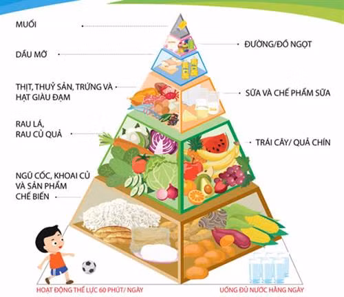 Chế độ ăn uống, hoạt động hợp lý là nền tảng của sức khỏe