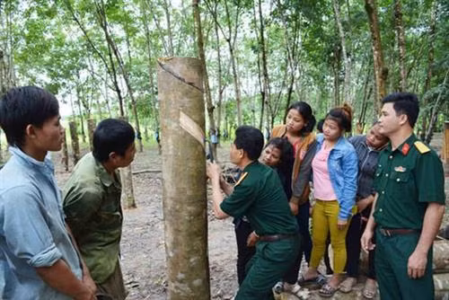 Mô hình “gắn kết hộ” giúp bà con vùng biên thoát nghèo