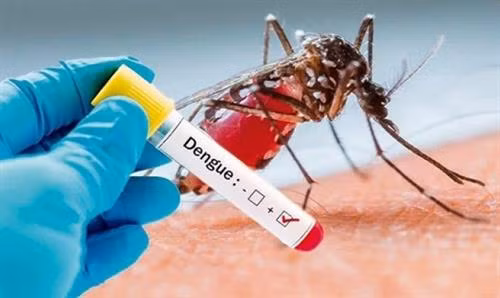 Sốt xuất huyết Dengue tiếp tục tăng mạnh ở tỉnh Kon Tum