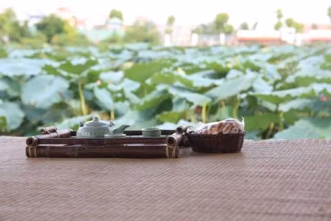 Hà Nội sẽ xây dựng không gian thưởng thức trà sen Tây Hồ