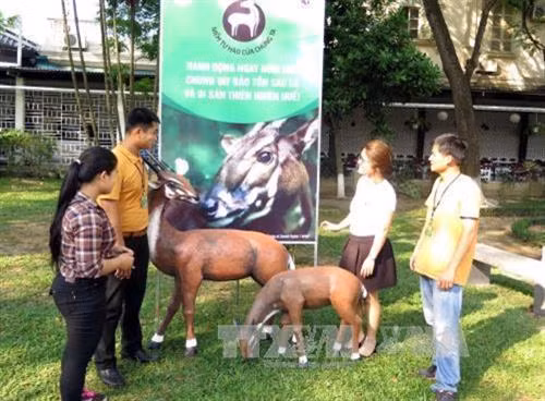 Hội thảo về khôi phục và bảo tồn động vật quý hiếm Sao La