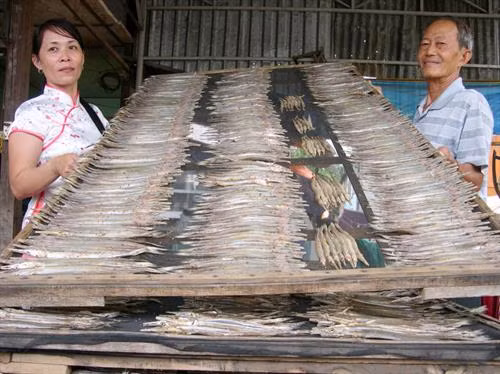 Làng nghề chế biến khô cá biển ở Sông Đốc