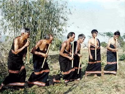 Cây Đinh tút – nhạc cụ độc đáo của người T’riêng