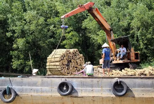 Cà Mau quy hoạch phát triển vùng kinh tế biển và ven biển