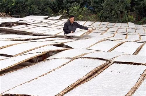 Bắc Giang lựa chọn, phát triển nhiều sản phẩm OCOP