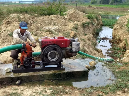 Kiên Giang chủ động phòng chống khô hạn xâm nhập mặn gây hại sản xuất mùa khô 2016 - 2017