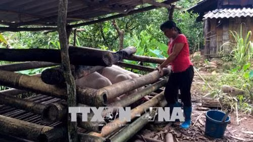 Xã vùng cao Đồng Sơn vươn lên thoát nghèo