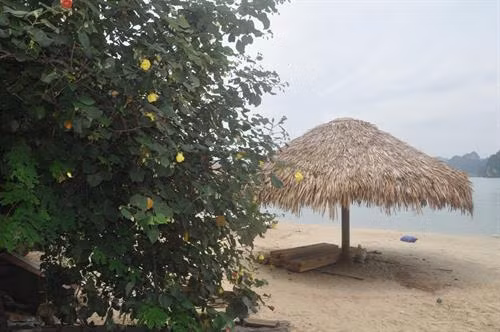 Quảng Ninh tạm dừng hoạt động bãi tắm Soi Sim trên vịnh Hạ Long