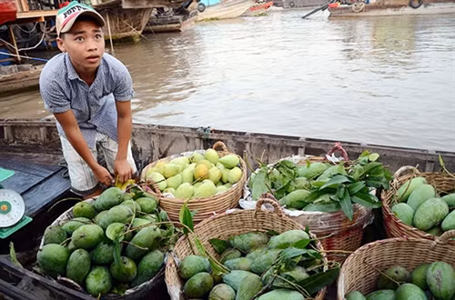 Hấp dẫn chợ nổi Cái Răng