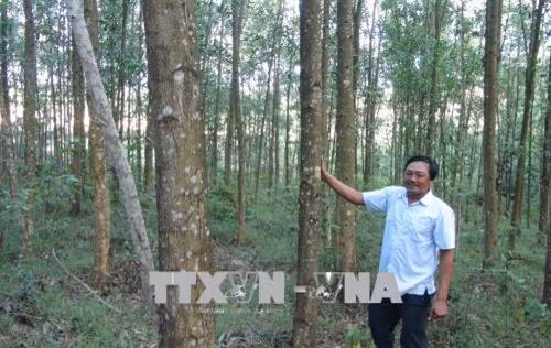 Cáp Quốc Hà - Tỷ phú trên vùng gò đồi hoang hóa
