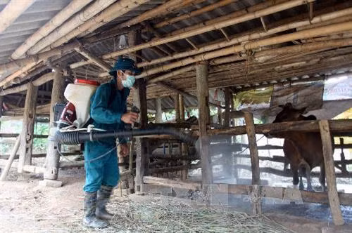 Phòng và giám sát dịch bệnh động vật