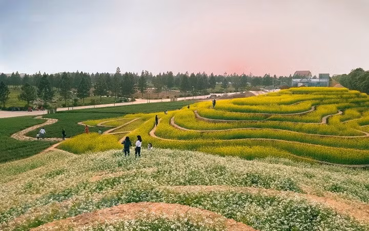 Du lịch nông nghiệp, lợi ích kép của Hà Nội