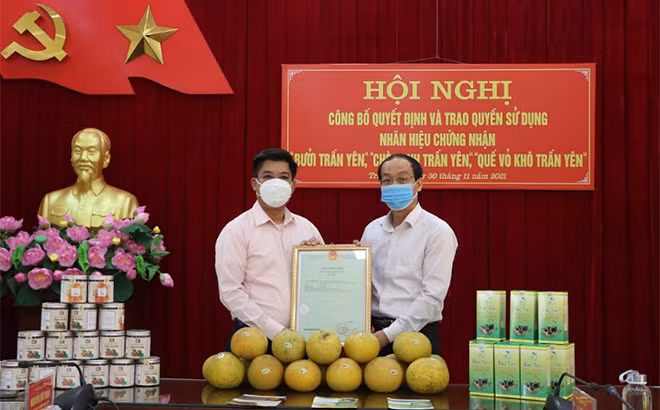 Cấp giấy chứng nhận quyền sử dụng nhãn hiệu “Bưởi Trấn Yên” , “Chè xanh Trấn Yên” và “Quế vỏ khô Trấn Yên”