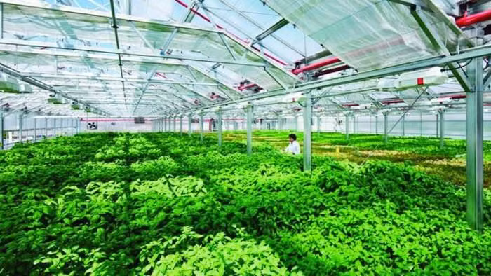 Thành lập Khu nông nghiệp ứng dụng công nghệ cao Thái Nguyên