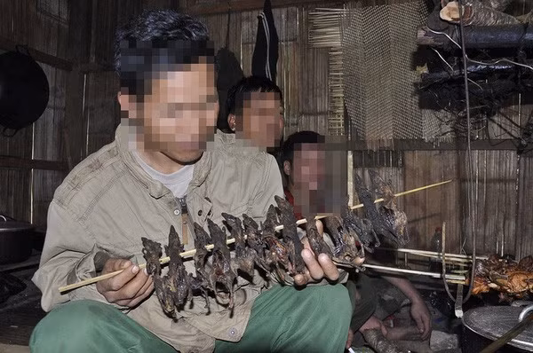 Kon Tum: Ba người ở huyện Kon Rẫy bị ngộ độc sau khi ăn thịt chuột, uống rượu