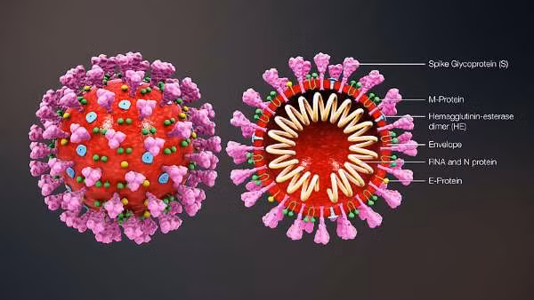 Australia phát triển phần mềm phân tích và dự báo đột biến gene của virus SARS-CoV-2