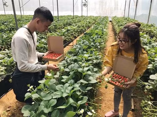 Mô hình du lịch nhà vườn ở Lào Cai hút khách 