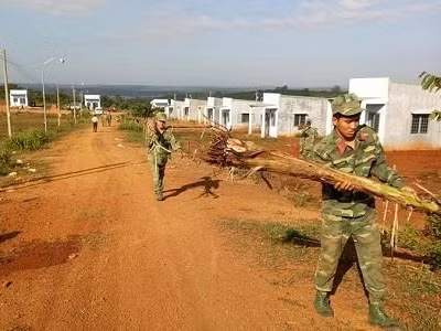 Sắc Xuân trên vùng đất Tiểu khu 119 huyện Bù Gia Mập