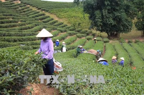 Cả nước có 3.370 xã đạt chuẩn nông thôn mới