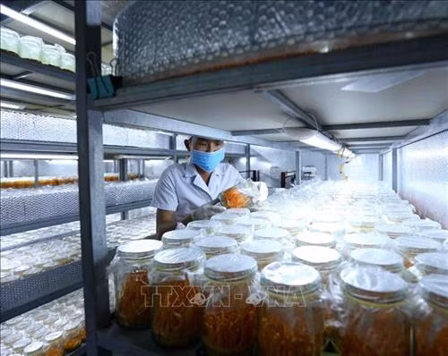 Bắc Giang quan tâm phát triển kinh tế - xã hội vùng đồng bào dân tộc thiểu số, miền núi