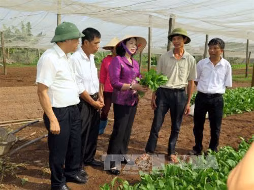 Hà Nội đầu tư xây dựng nông thôn mới