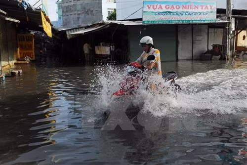 Thời tiết ngày 15/11: Nam Bộ triều cường dâng cao, từ Quảng Bình đến Quảng Ngãi có mưa to