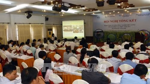 Hàng chục nghìn nông dân hưởng lợi từ Dự án Chuyển đổi nông nghiệp bền vững