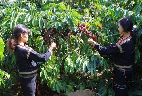 Bàn giải pháp phát triển tỉnh Đắk Lắk đến năm 2030, tầm nhìn đến năm 2045
