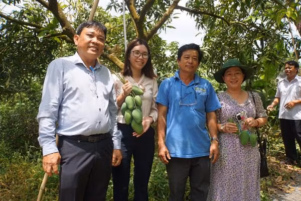 Cán bộ Cục Bảo vệ thực vật và cán bộ, nông dân kiểm tra các vùng trồng xoài tại An Giang. Ảnh: ppd.gov.vn 