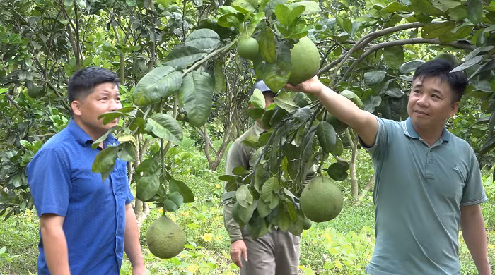 Phát huy vai trò “đi trước” của cán bộ, đảng viên trong xây dựng nông thôn mới ở xã miền núi Lộc Thịnh